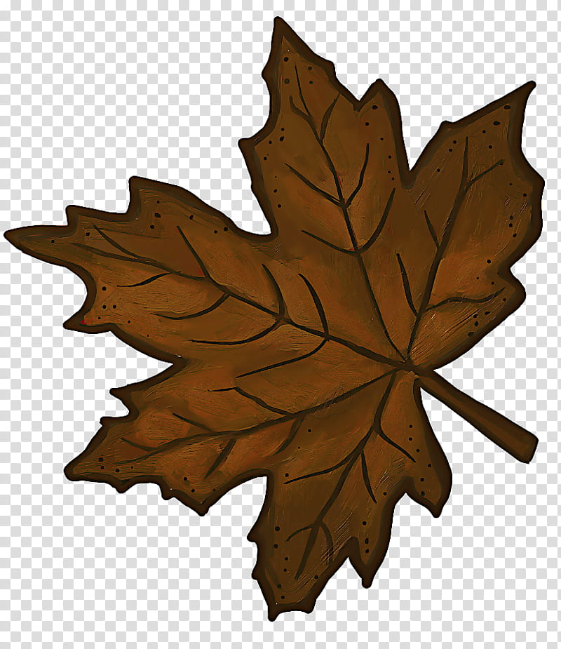 Maple leaf, Tree, Black Maple, Woody Plant, Plane, Grape Leaves, Flowering Plant transparent background PNG clipart
