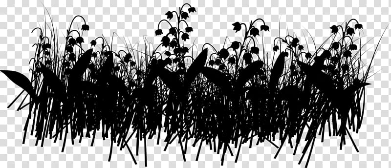 Grass, Black White M, Grass Family, Plant, Blackandwhite, Crowd transparent background PNG clipart