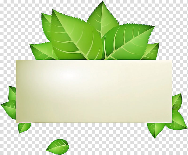 Green Leaf Logo, Video, Painting, Hashtag, Drawing, Banner, Plant, Herbal transparent background PNG clipart