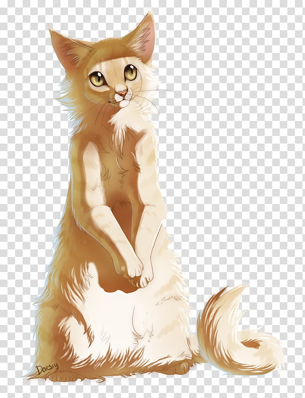 Kitten, Whiskers, Maine Coon, Fur, Drawing, Paw, Raccoon, Doodle transparent background PNG clipart