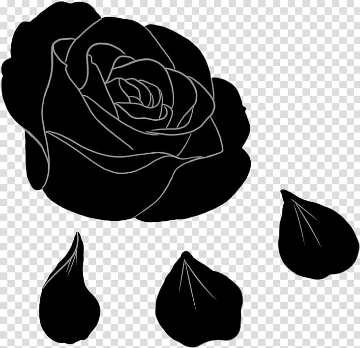 Black And White Flower, Garden Roses, Black Rose, Pony, Cutie Mark Crusaders, Red, Decal, Cutie Mark Chronicles transparent background PNG clipart