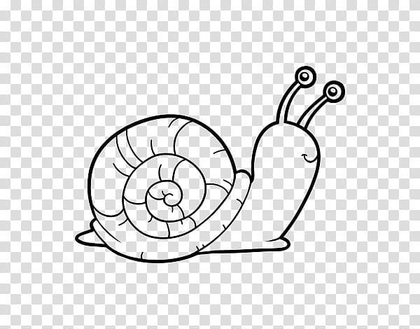 Snail, Coloring Book, Drawing, Cartoon, Snails And Slugs, White, Sea Snail, Line Art transparent background PNG clipart