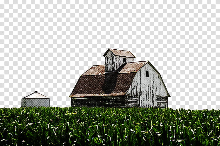 farm grass rural area barn grass family, House, Field, Land Lot, Building, Plantation transparent background PNG clipart