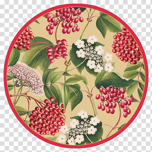 plate dishware plant berry flower, Tableware, Viburnum, Elderberry, Fruit, Wildflower, Moschatel Family transparent background PNG clipart