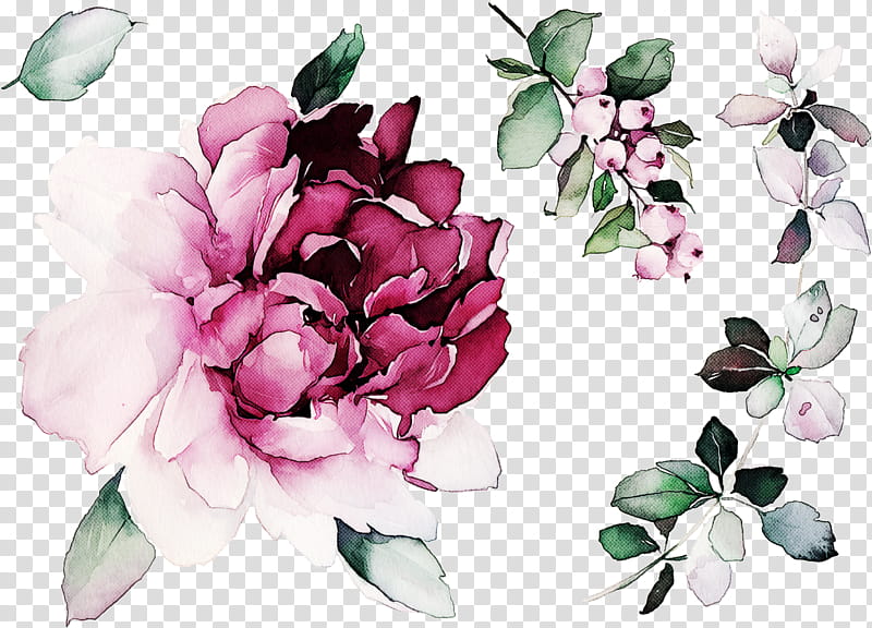 Floral design, Flower, Petal, Pink, Plant, Leaf, Magnolia, Chinese Peony transparent background PNG clipart