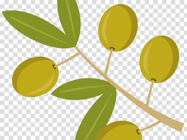 olive leaf yellow plant tree, Branch, Fruit, Flower, Flowering Plant transparent background PNG clipart