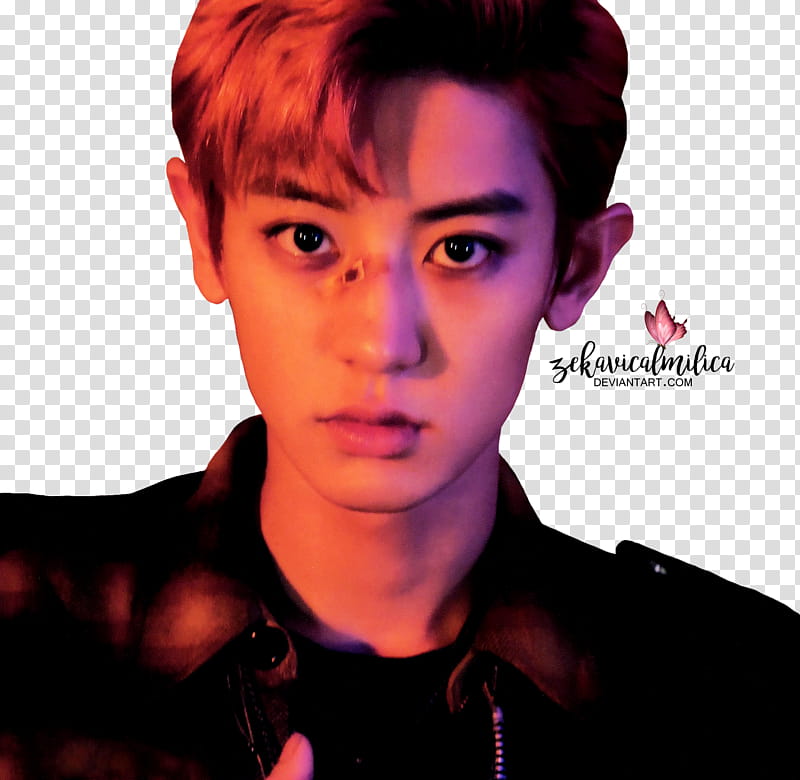 EXO Chanyeol LOTTO, low-light of man wearing brown collared shirt transparent background PNG clipart