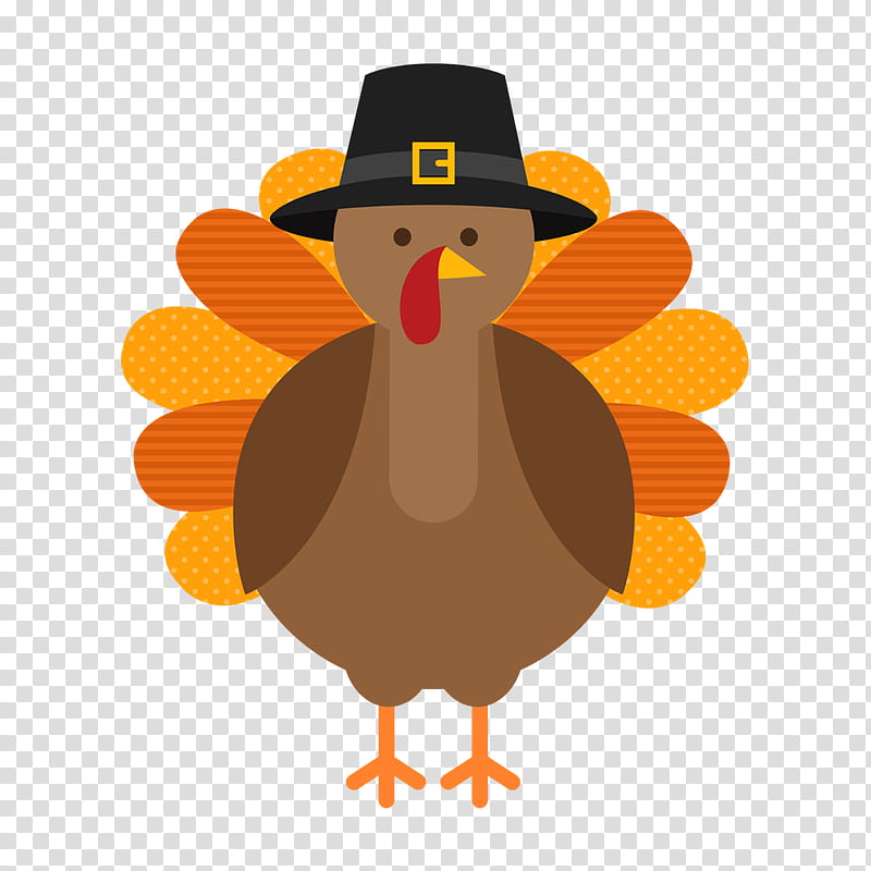 Thanksgiving Turkey Drawing, Turkey Meat, Cartoon, Broad Breasted White Turkey, Domestic Turkey, Bird, Flightless Bird, Chicken transparent background PNG clipart