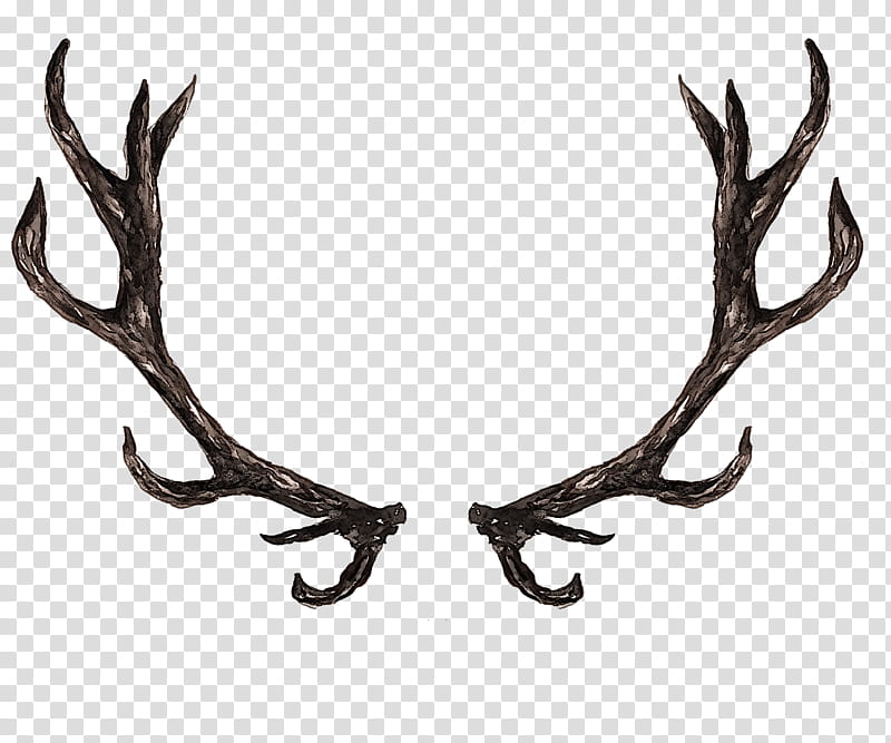 horn antler elk transparent background PNG clipart