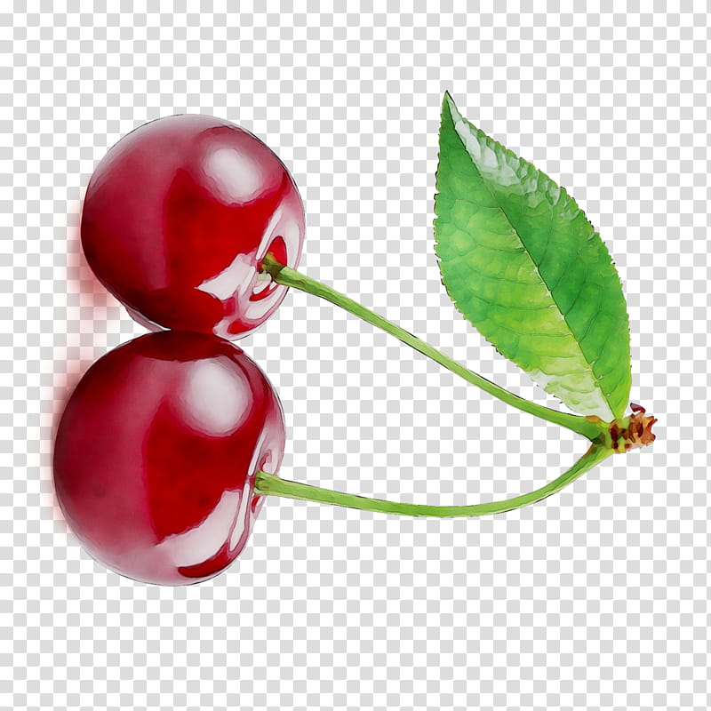 Tree Of Life, Lingonberry, Still Life , Superfood, Natural Foods, Cherry, Red, Leaf transparent background PNG clipart