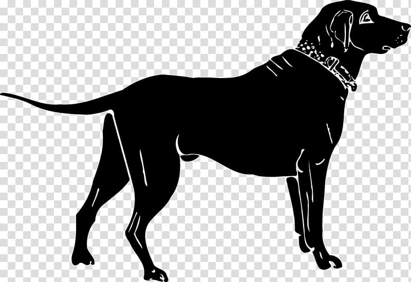 Golden Retriever, Labrador Retriever, Puppy, Pet, Animal, Silhouette, Hunting Dog, Bird Dog transparent background PNG clipart