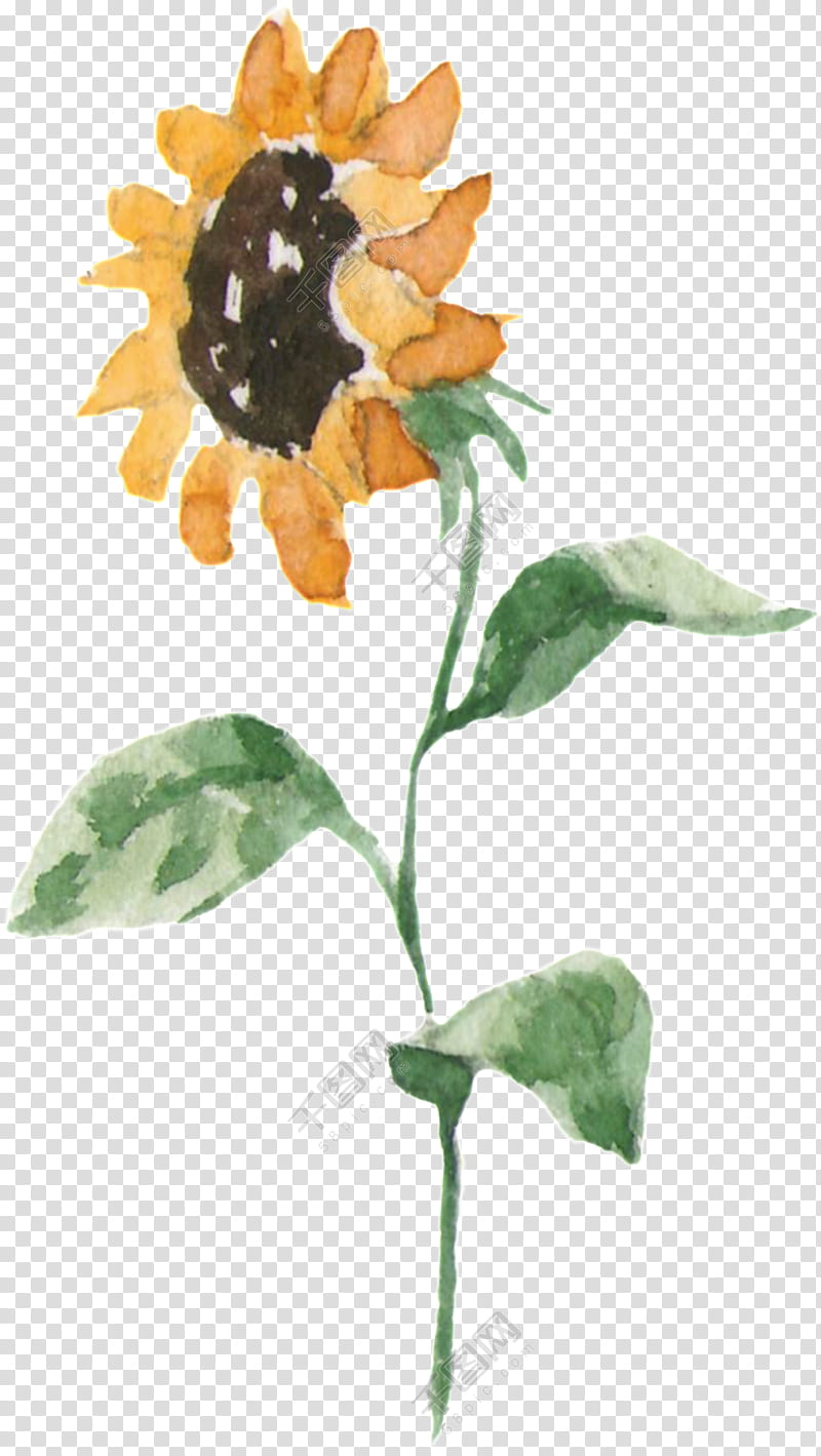 Flower Painting, Common Sunflower, Advertising, Sunflower Seed, Creativity, Sunflowers, Plant, Flora transparent background PNG clipart