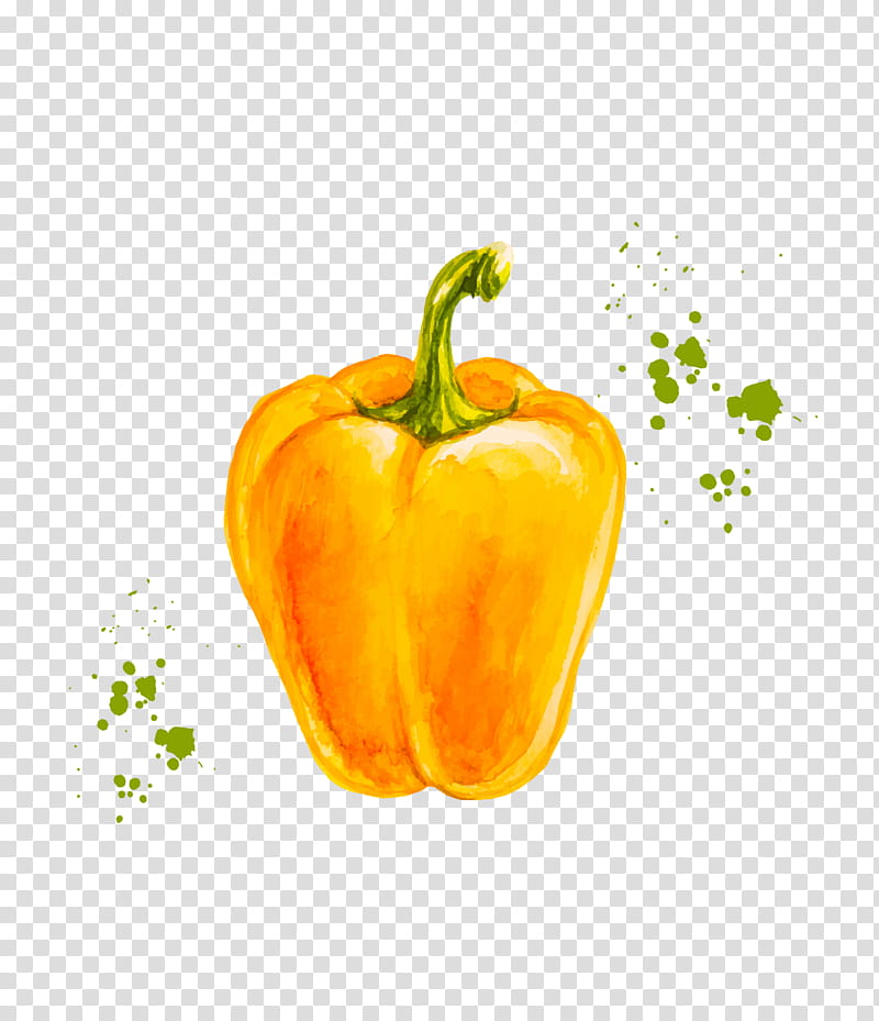 Drawing Of Family, Bell Pepper, Chili Pepper, Yellow Bell Pepper, Yellow Pepper, Cayenne Pepper, Painting, Watercolor Painting transparent background PNG clipart