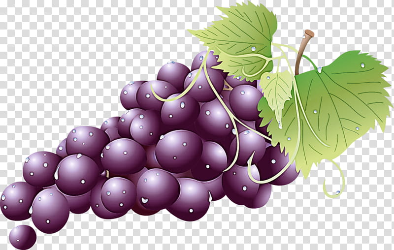 grape grape leaves natural foods seedless fruit fruit, Grapevine Family, Plant, Vitis, Berry transparent background PNG clipart