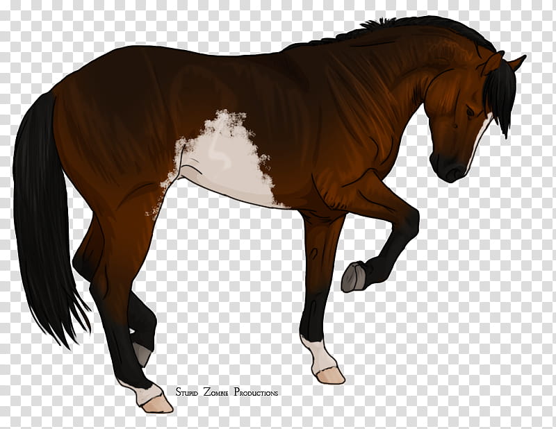 FU: Pony Stomp transparent background PNG clipart
