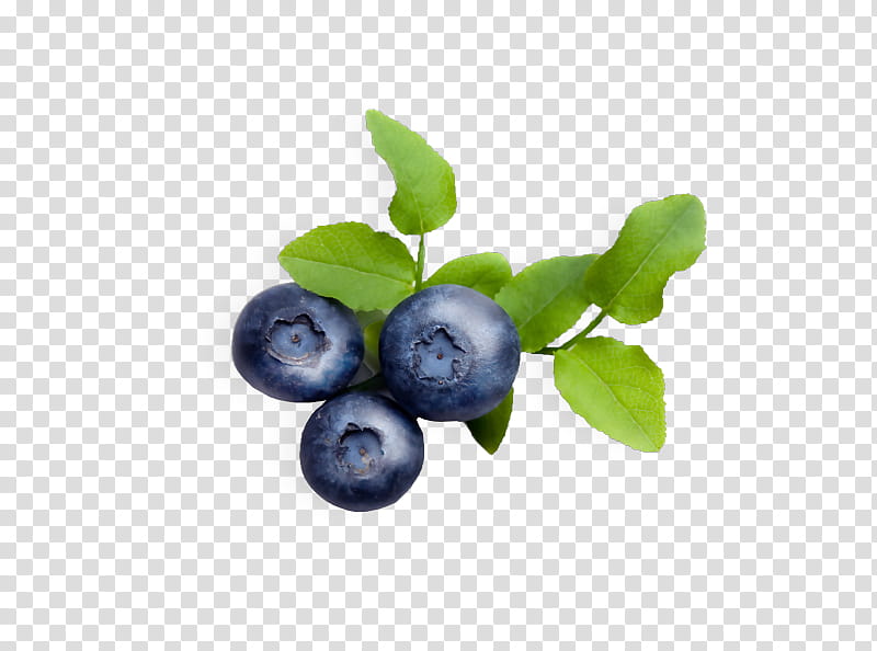 Juice, Blueberry, Varenye, Tea, Bilberry, Berries, European Blueberry, Lingonberry transparent background PNG clipart