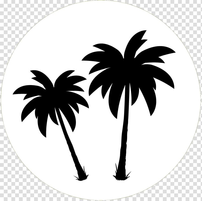 Black And White Flower, Palm Trees, Black White M, Silhouette, Leaf, Blackandwhite, Arecales, Plant transparent background PNG clipart