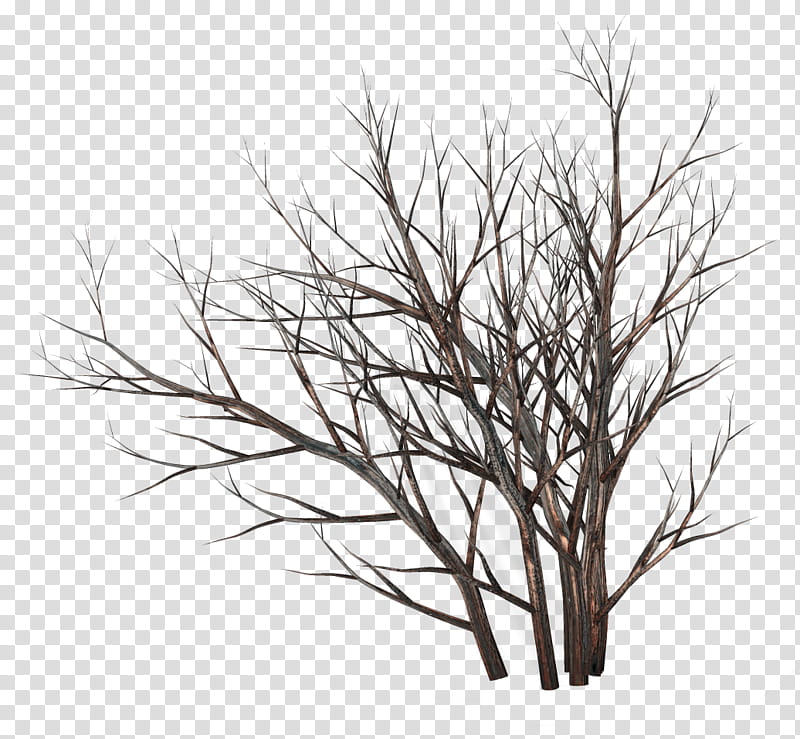 TWD Dead bushes, leafless trees transparent background PNG clipart