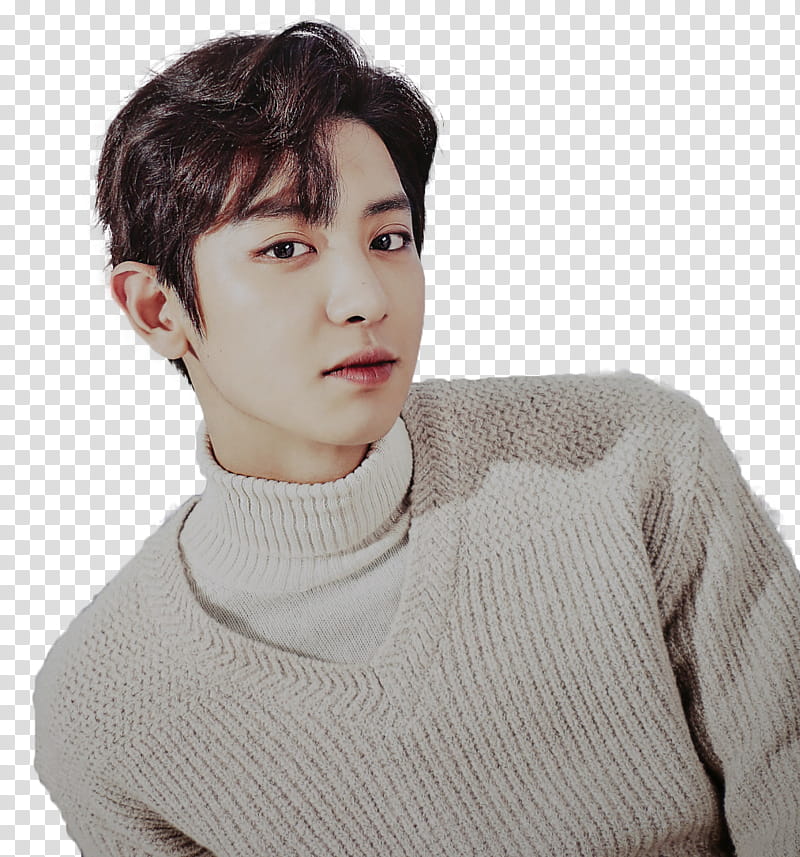 Chanyeol transparent background PNG clipart