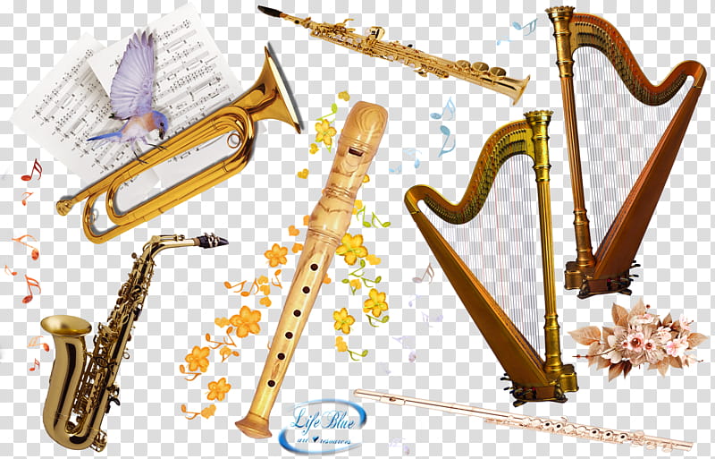 Music string and wind, musical instrument lot transparent background PNG clipart