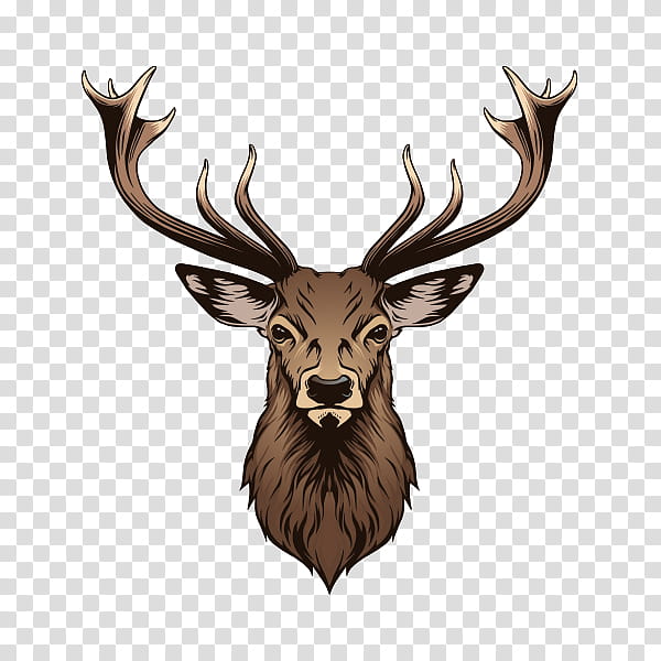 Reindeer, Drawing, Whitetailed Deer, Silhouette, Horn, Elk, Antler, Head transparent background PNG clipart