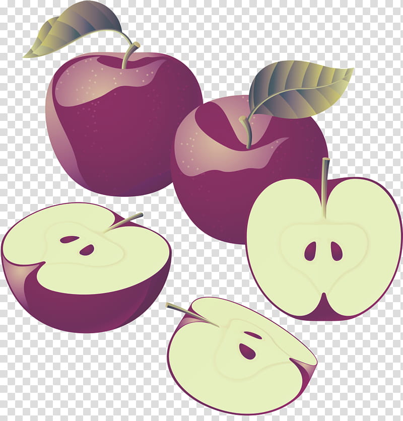 fruit apple purple violet food, Lilac, Plant, Tree, European Plum transparent background PNG clipart