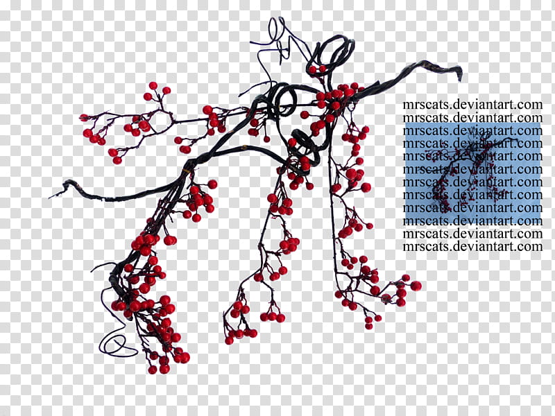 Red berries , red-petaled flower transparent background PNG clipart