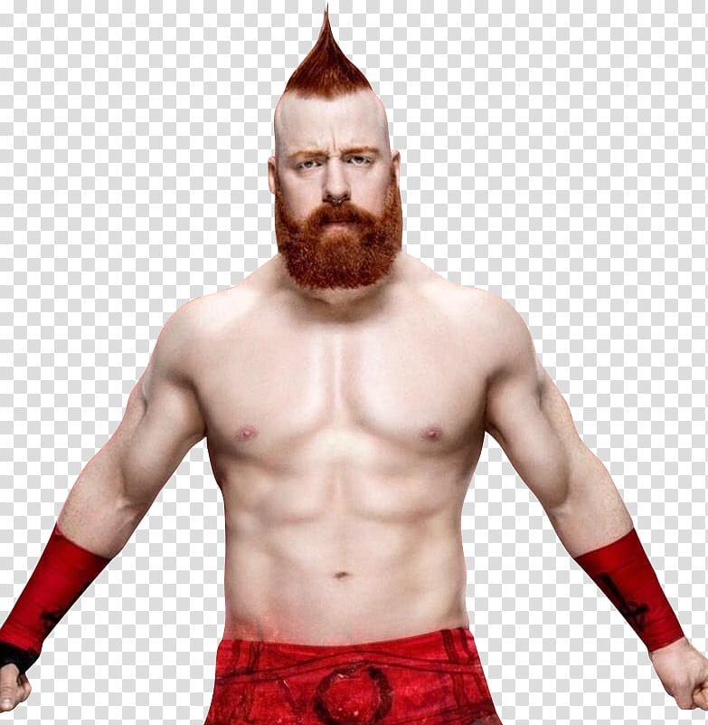Sheamus RAW  transparent background PNG clipart
