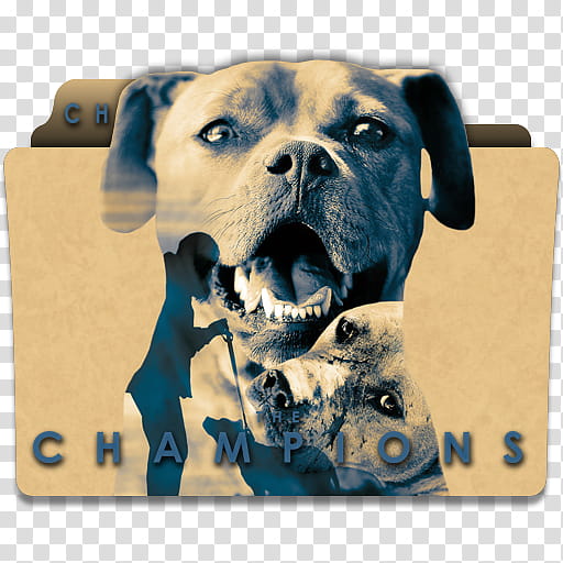 The Champions  Movie Folder Icons, TheChampions_v transparent background PNG clipart