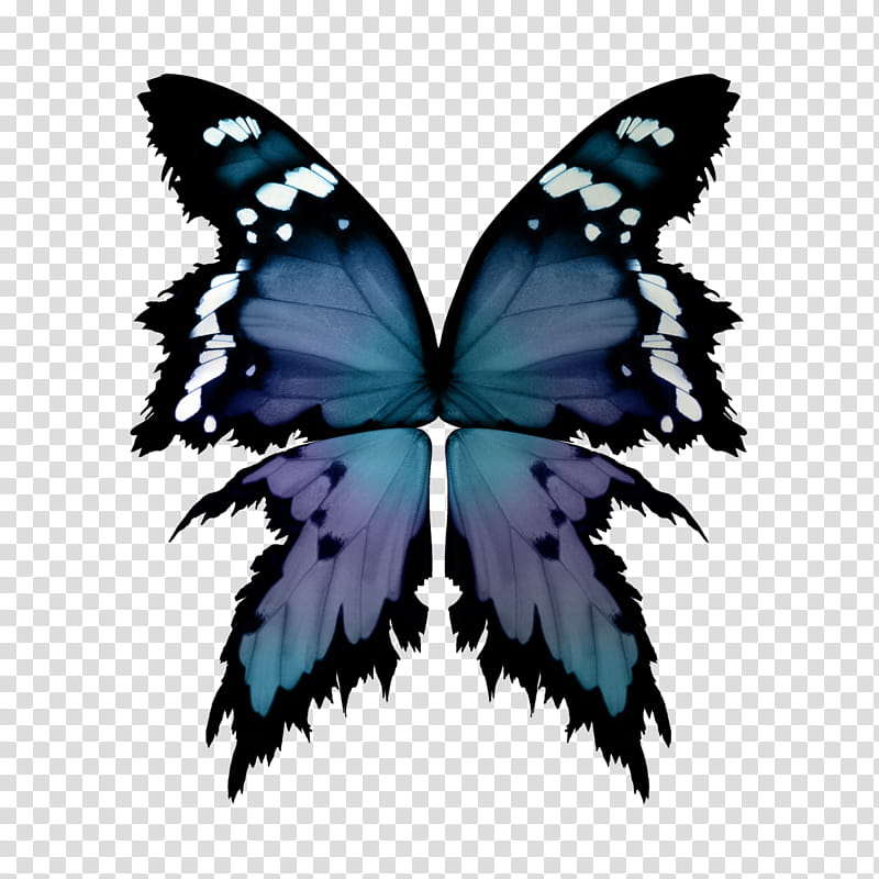 D Fae Wings , blue and white butterfly illustration transparent background PNG clipart