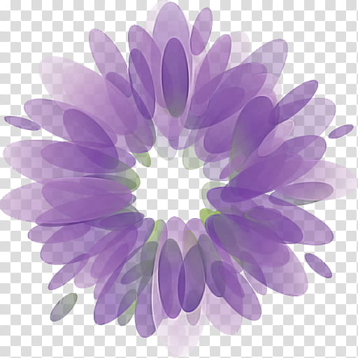 Lavender, Purple, Violet, Petal, Flower, Lilac, Plant, Gerbera transparent background PNG clipart