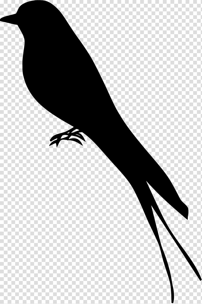 Mockingbird Silhouette, Drawing, Beak, Tail, Perching Bird, Songbird, Blackbird, New Caledonian Crow transparent background PNG clipart
