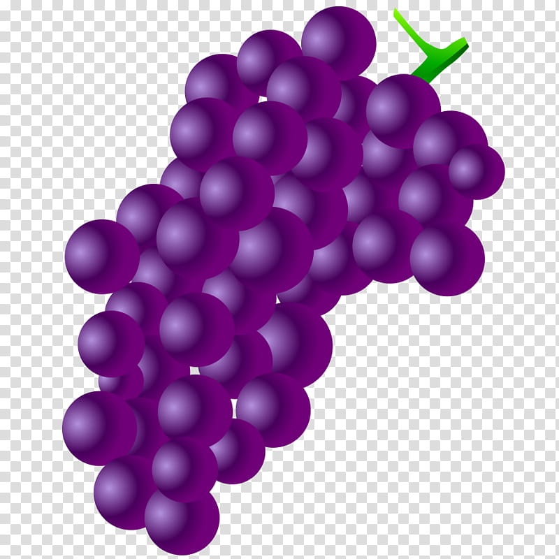Autumn Family, Grape, Fruit, Grape Seed Extract, Color, Computer Software, Grapevine Family, Purple transparent background PNG clipart