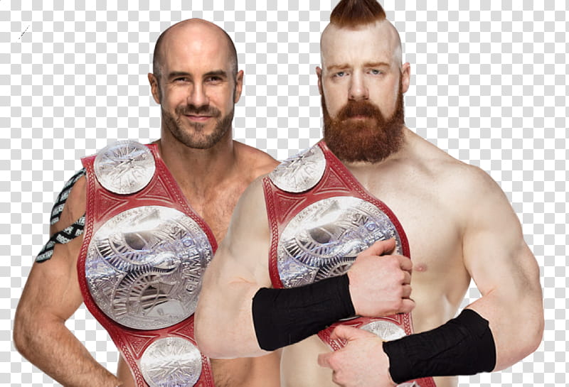 SHEAMUS and CESARO TAG TEAM CHAMPION  transparent background PNG clipart