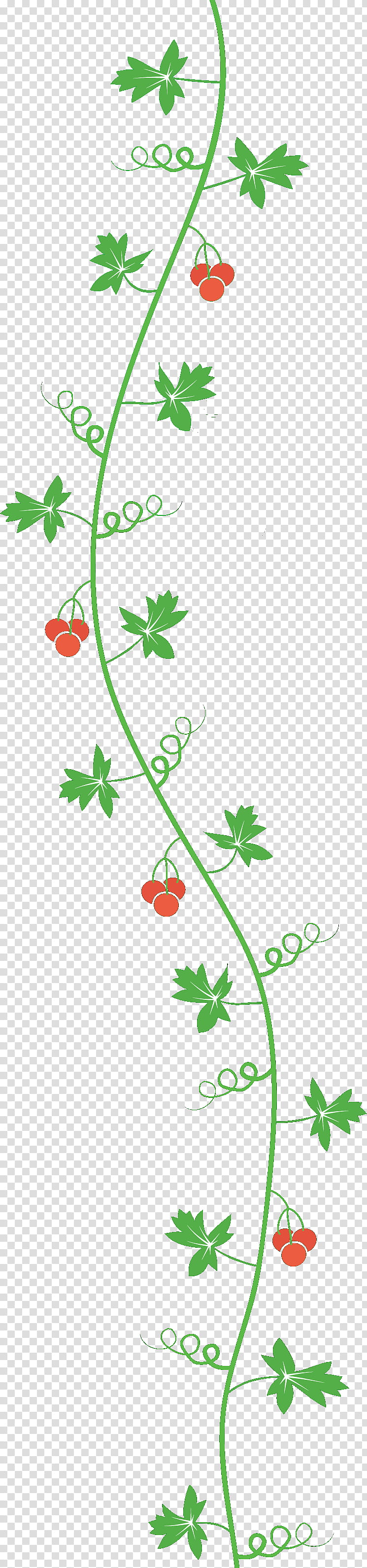 leaf border, Plant, Flower, Branch, Plant Stem transparent background PNG clipart