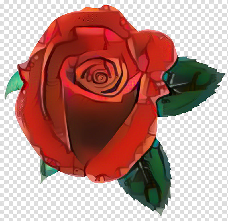 Green Tea Leaf, Garden Roses, Floribunda, Cabbage Rose, China Rose, Flower, Bud, Red transparent background PNG clipart