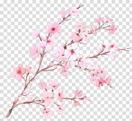 Cherry Blossom Tree Drawing, Watercolor, Paint, Wet Ink, Watercolor Painting, Cherries, Flower, Art transparent background PNG clipart