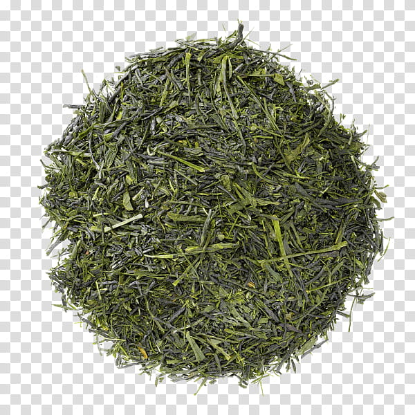 plant kabusecha grass sencha kukicha transparent background PNG clipart