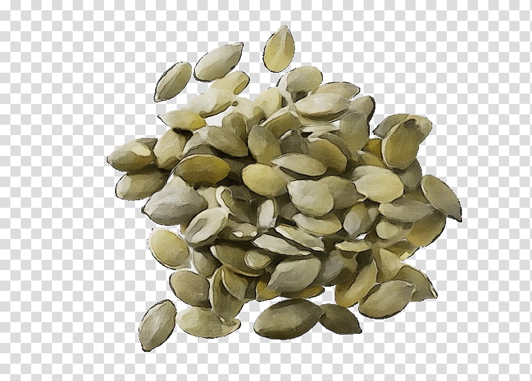 plant pumpkin seed seed food nuts & seeds, Watercolor, Paint, Wet Ink, Nuts Seeds, Vegetarian Food, Superfood transparent background PNG clipart