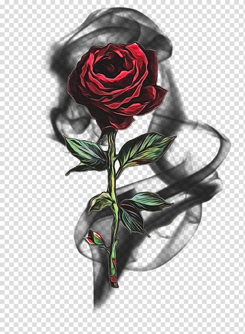 Black Pink Rose, Watercolor, Paint, Wet Ink, Black Rose, Tshirt, Top, Sleeve transparent background PNG clipart