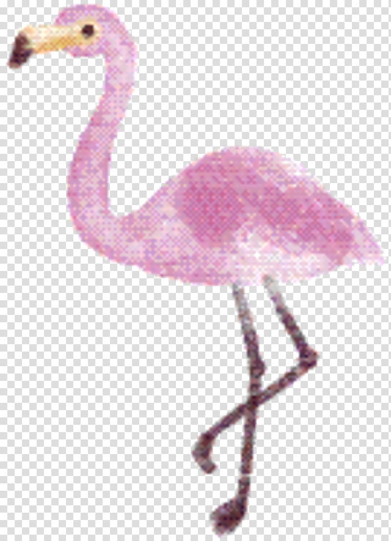 Pink Flamingo, Pink M, Beak, Feather, Bird, Greater Flamingo, Water Bird, Cranelike Bird transparent background PNG clipart