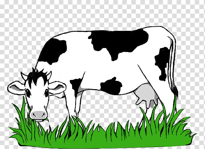 Green Grass, Grazing, English Longhorn, Sheep, Kereman Cattle, Pasture, Texas Longhorn, Dairy Cattle transparent background PNG clipart