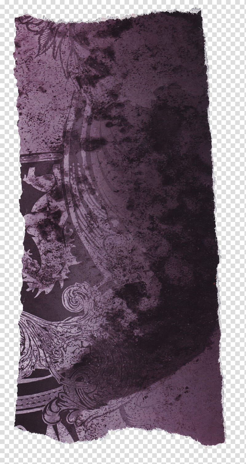 Magazine Set , purple and black floral illustration transparent background PNG clipart