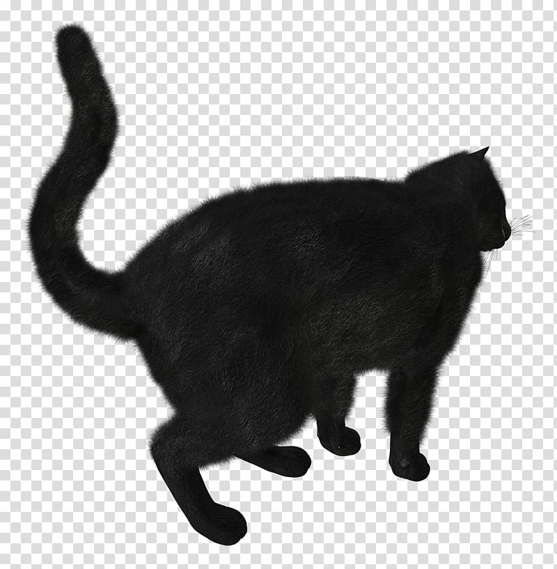 High Quality  Cats , black cat art transparent background PNG clipart