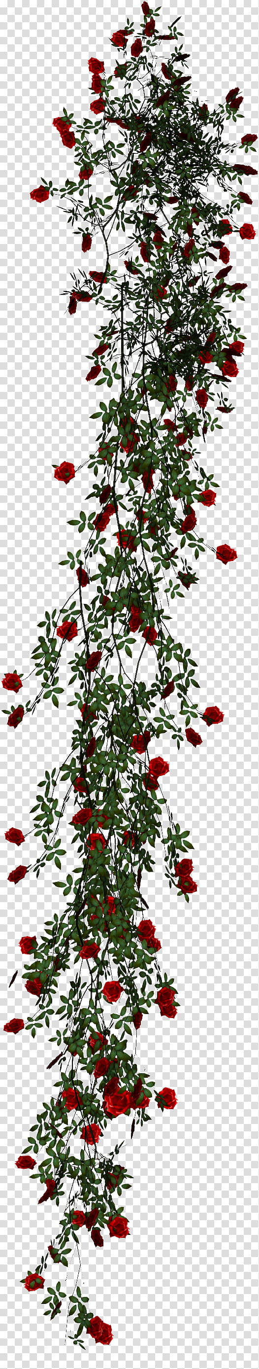 Roses, red flower and green leaves art transparent background PNG clipart