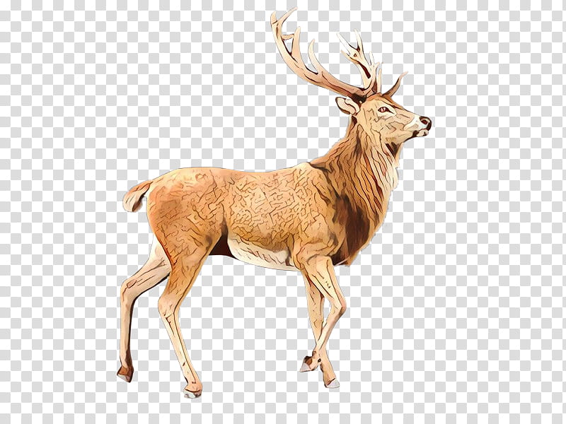 Reindeer, Cartoon, Elk, Wildlife, Antler, Horn, Animal Figure, Fawn transparent background PNG clipart