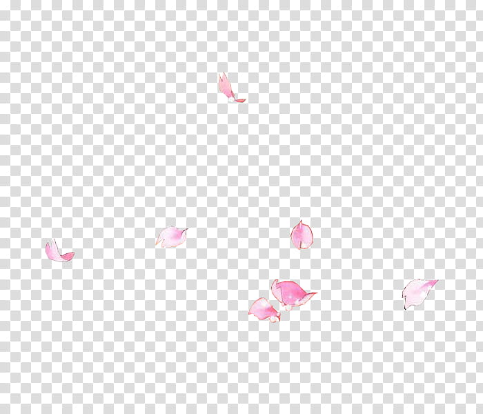 Sakura xp, pink petals transparent background PNG clipart