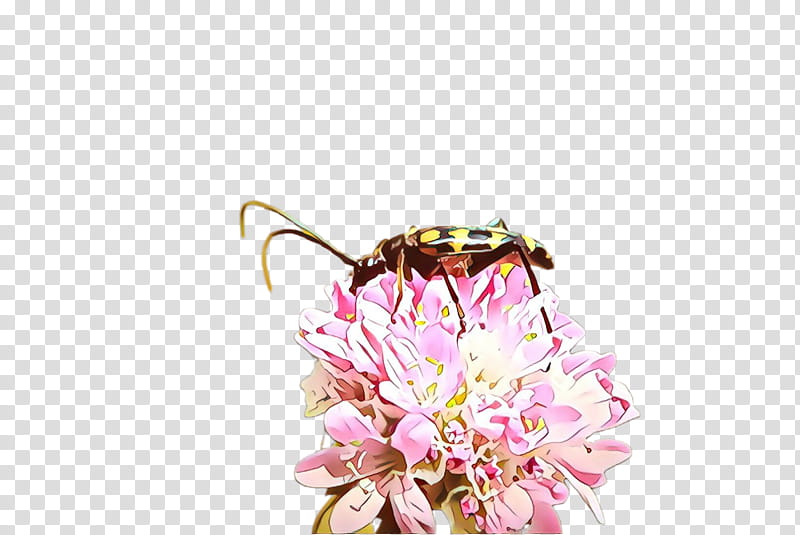 Bumblebee, Insect, Honeybee, Pink, Membranewinged Insect, Flower, Pollinator, Plant transparent background PNG clipart