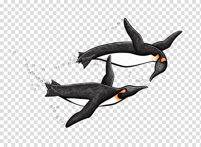 Shark Fin, Penguin, Dolphin, Drawing, Chickadee, Silhouette, Killer Whale, Cetacea transparent background PNG clipart