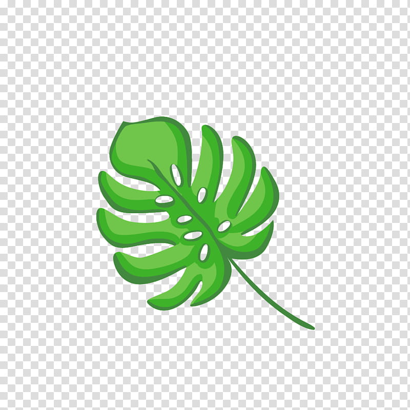 green leaf transparent background PNG clipart
